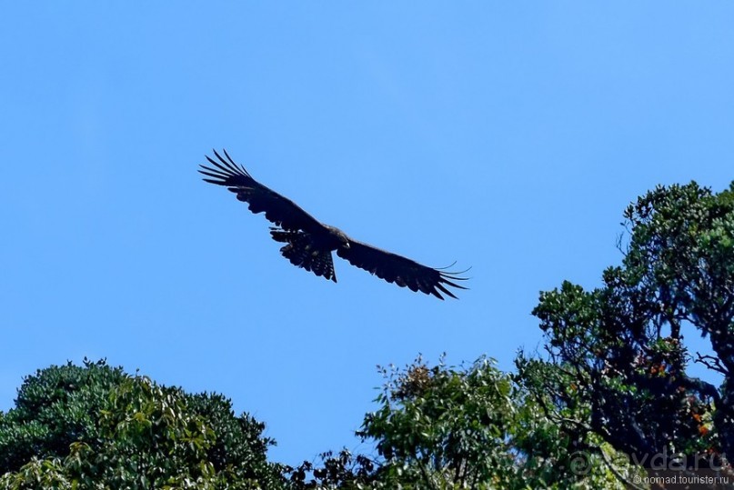 Цейлон на троих. Часть 5