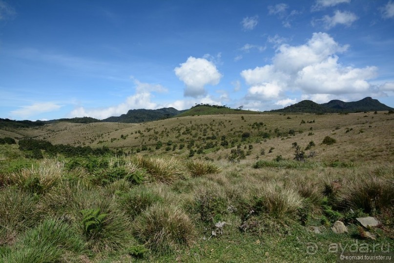 Цейлон на троих. Часть 5