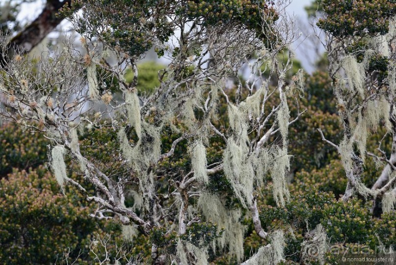 Цейлон на троих. Часть 5