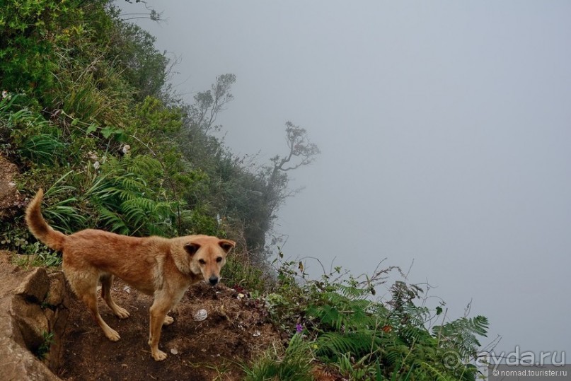Цейлон на троих. Часть 5