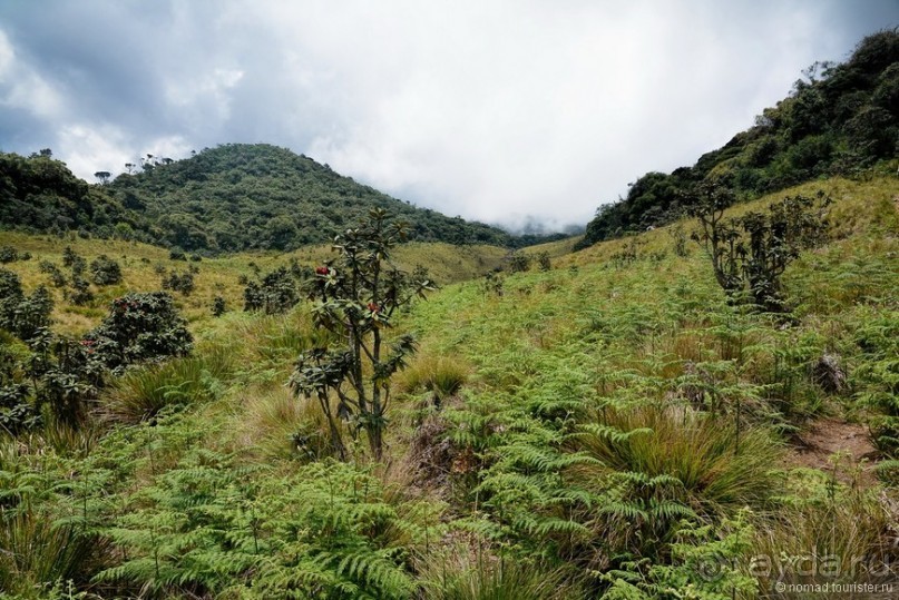 Цейлон на троих. Часть 5