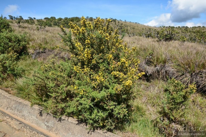 Цейлон на троих. Часть 5