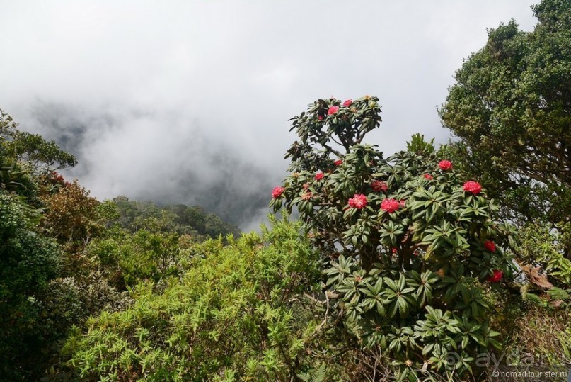 Цейлон на троих. Часть 5