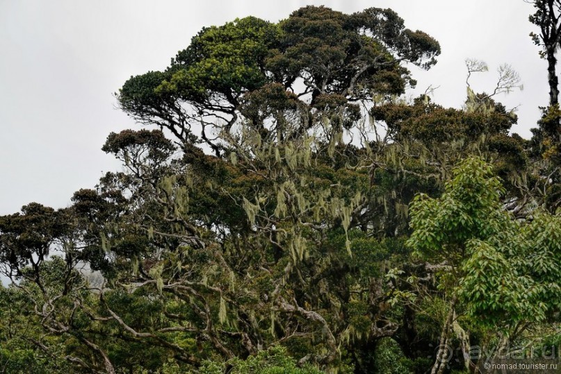 Цейлон на троих. Часть 5