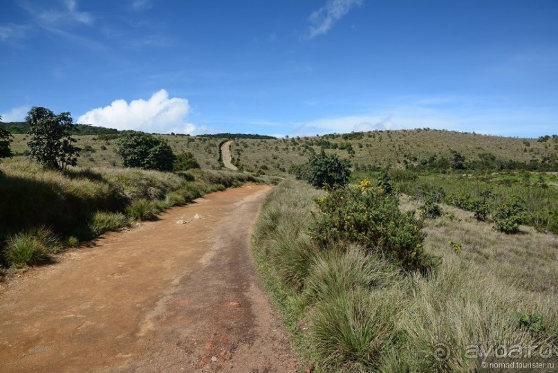 Цейлон на троих. Часть 5