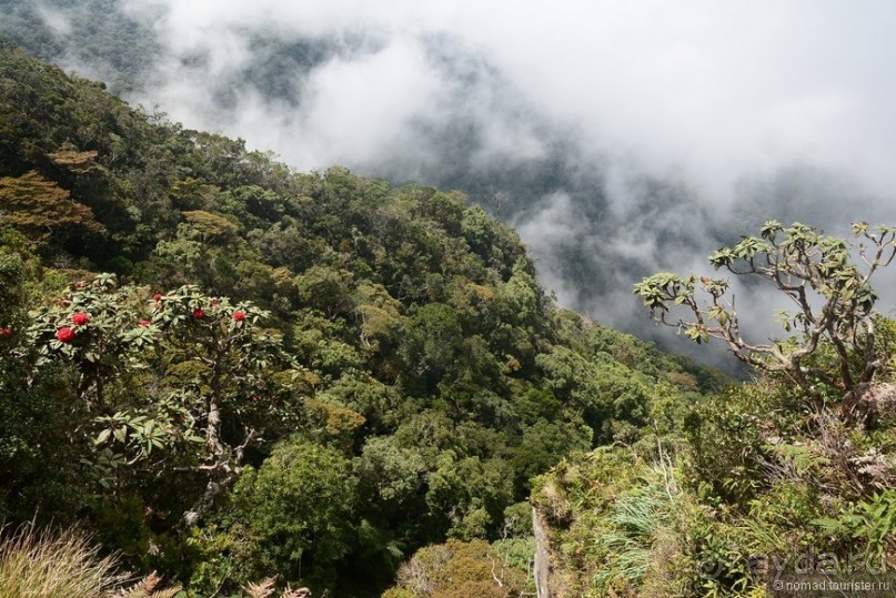 Цейлон на троих. Часть 5