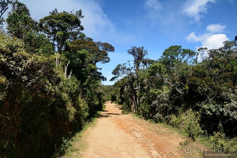 Цейлон на троих. Часть 5