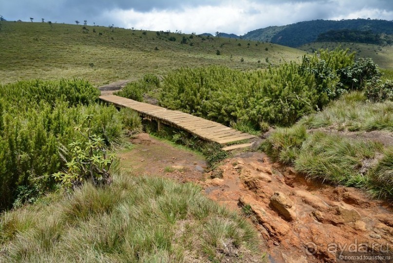 Цейлон на троих. Часть 5