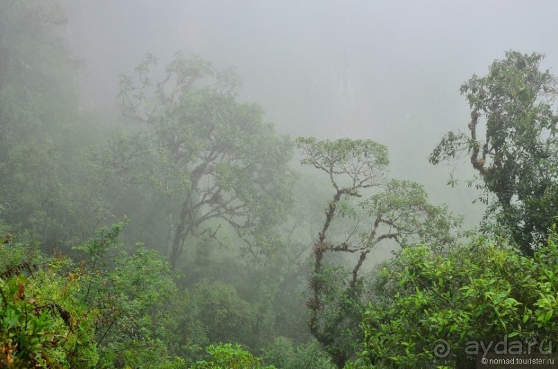 Альбом отзыва "Цейлон на троих. Часть 5"