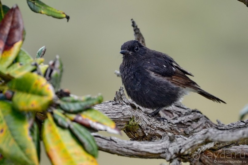 Цейлон на троих. Часть 5