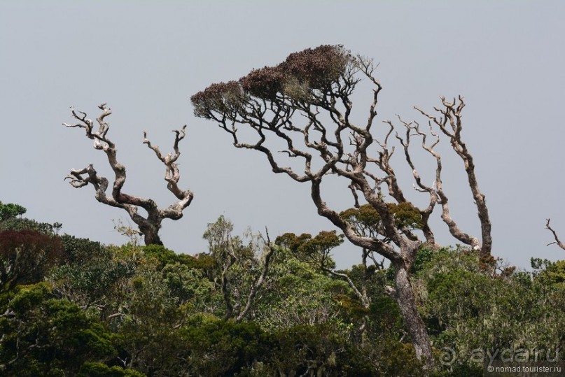 Цейлон на троих. Часть 5