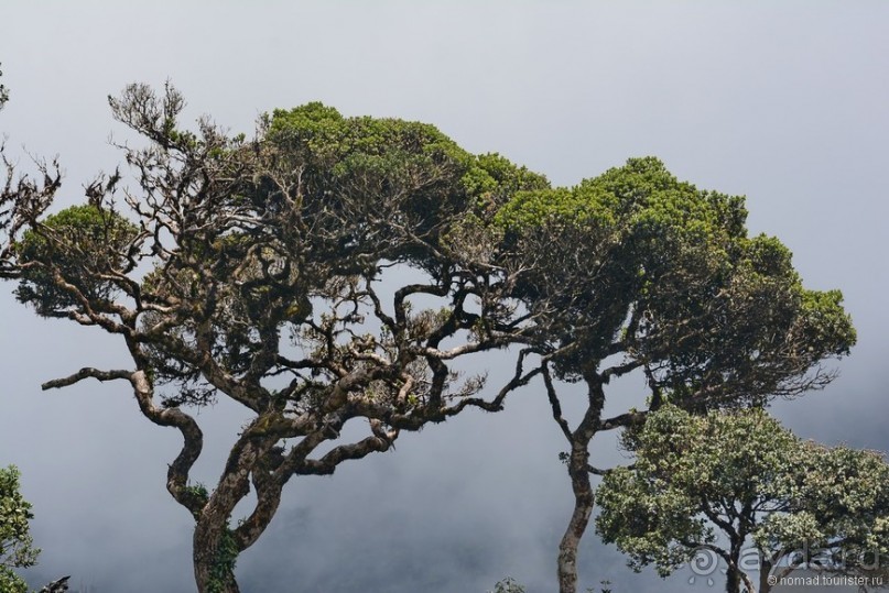 Цейлон на троих. Часть 5