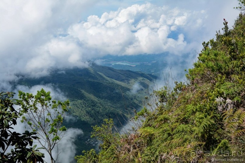 Цейлон на троих. Часть 5