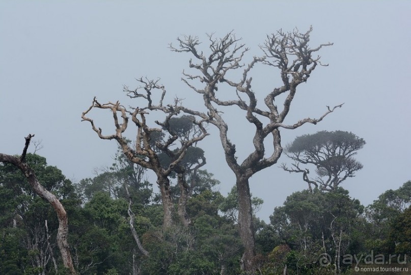 Цейлон на троих. Часть 5