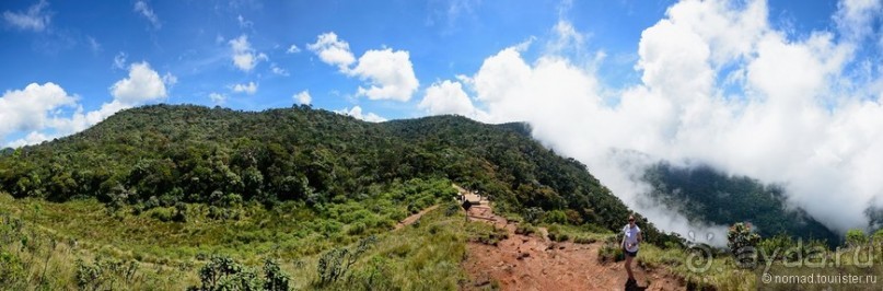 Цейлон на троих. Часть 5