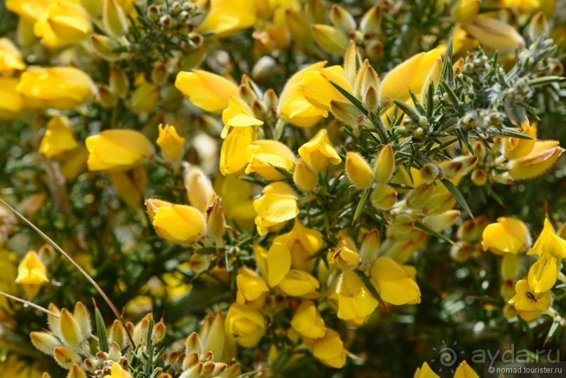 Цейлон на троих. Часть 5