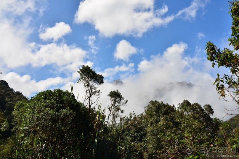 Альбом отзыва "Цейлон на троих. Часть 5"