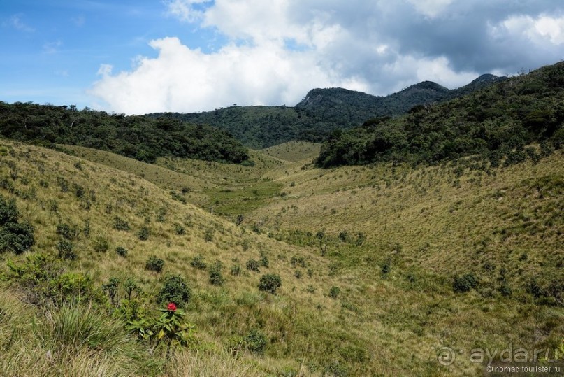 Цейлон на троих. Часть 5