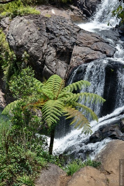 Цейлон на троих. Часть 5