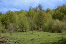 Страна хачкаров и алых маков. Часть 5