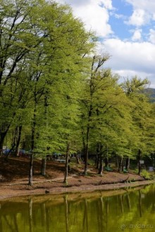 Страна хачкаров и алых маков. Часть 5