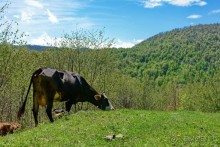 Страна хачкаров и алых маков. Часть 5