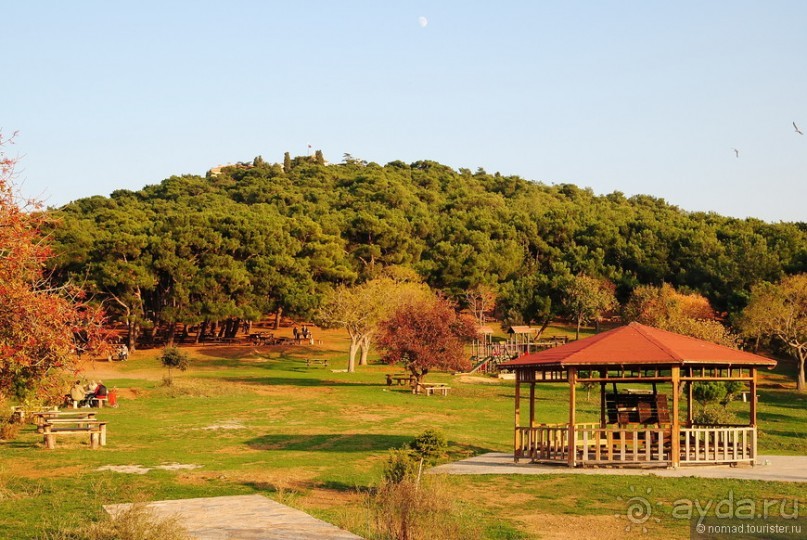 Прогулки из Стамбула. Принцевы острова - 2