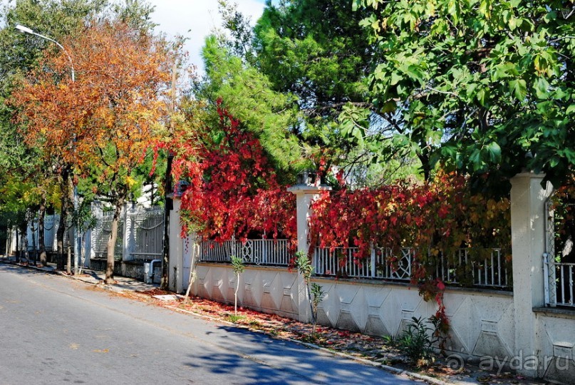 Прогулки из Стамбула. Принцевы острова - 2