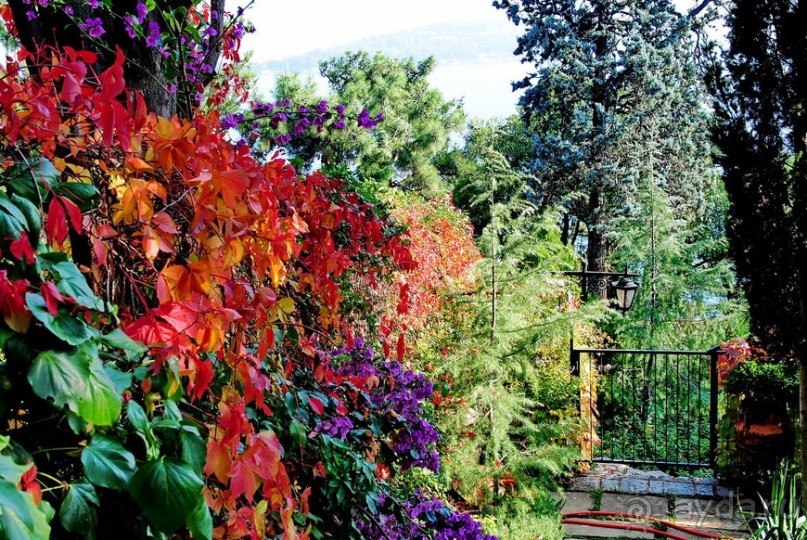 Прогулки из Стамбула. Принцевы острова - 2