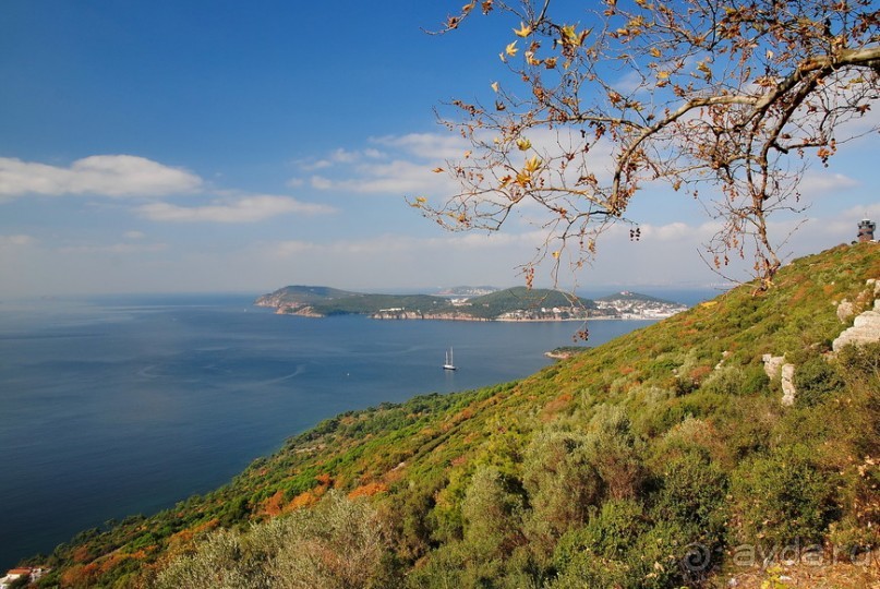 Прогулки из Стамбула. Принцевы острова - 2