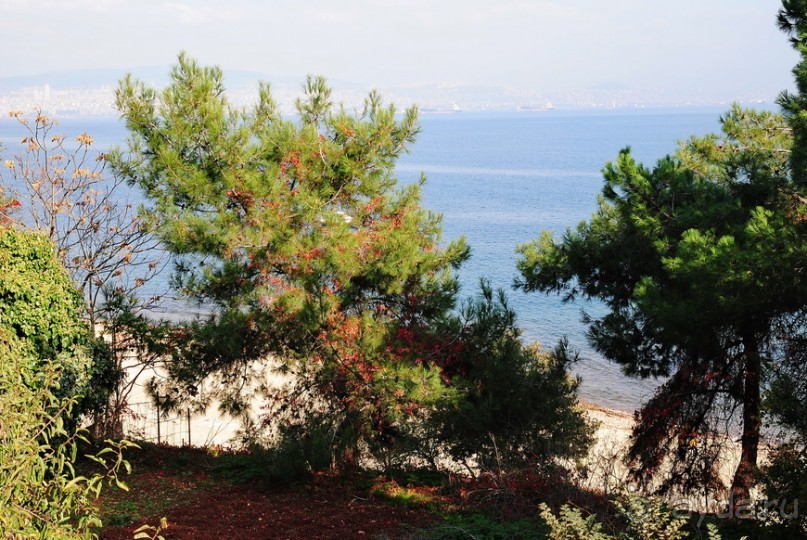 Прогулки из Стамбула. Принцевы острова - 2