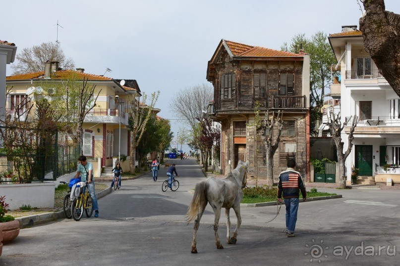 Прогулки из Стамбула. Принцевы острова - 2