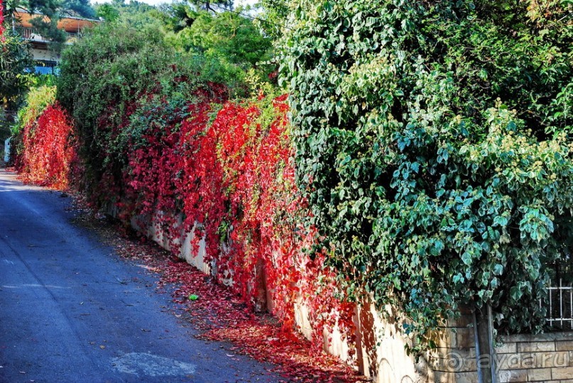 Прогулки из Стамбула. Принцевы острова - 2