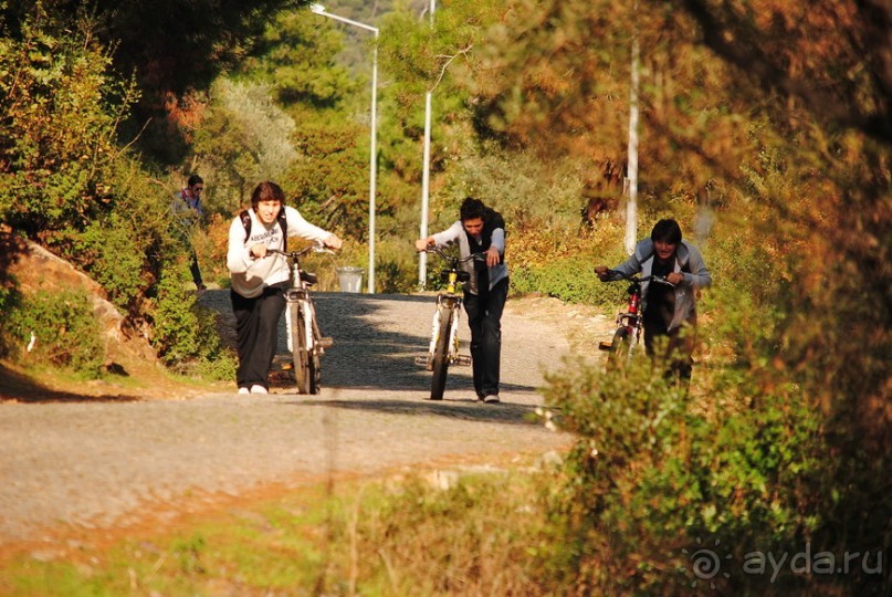 Прогулки из Стамбула. Принцевы острова - 2