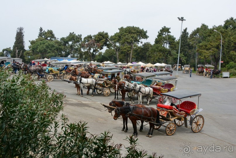 Прогулки из Стамбула. Принцевы острова - 2