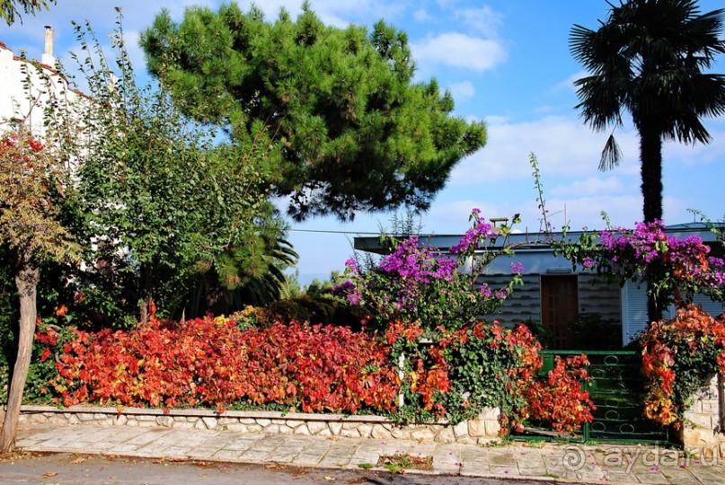 Прогулки из Стамбула. Принцевы острова - 2