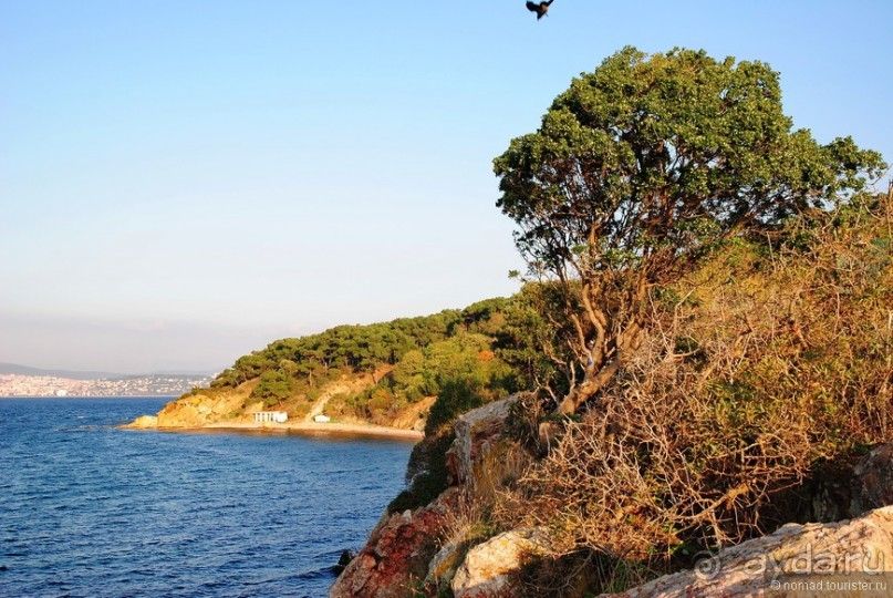 Прогулки из Стамбула. Принцевы острова - 2