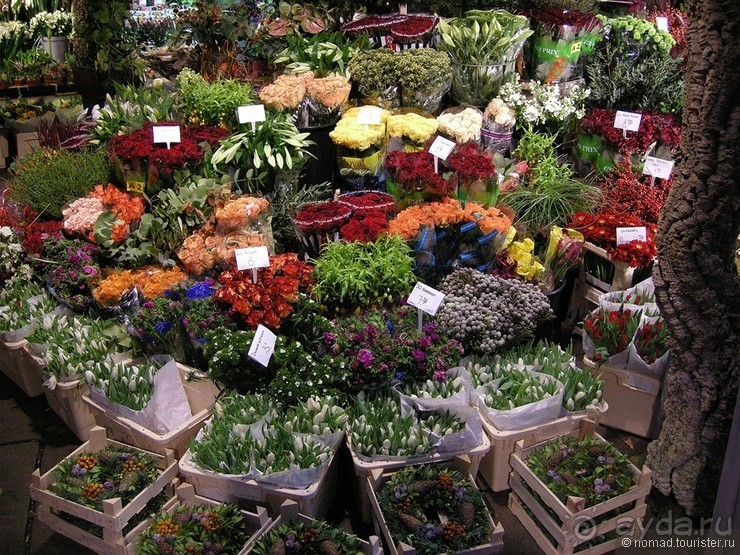 Автобусная экскурсия по новогодней Европе