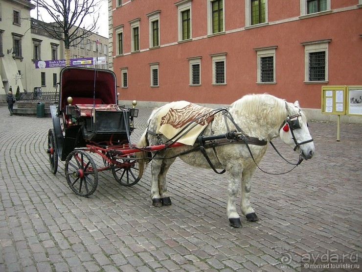 Автобусная экскурсия по новогодней Европе Автобусная экскурсия по новогодней Европе