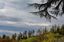 Между Псоу и Ингур. Часть 2