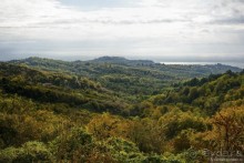 Между Псоу и Ингур. Часть 2