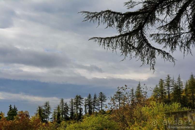 Между Псоу и Ингур. Часть 2