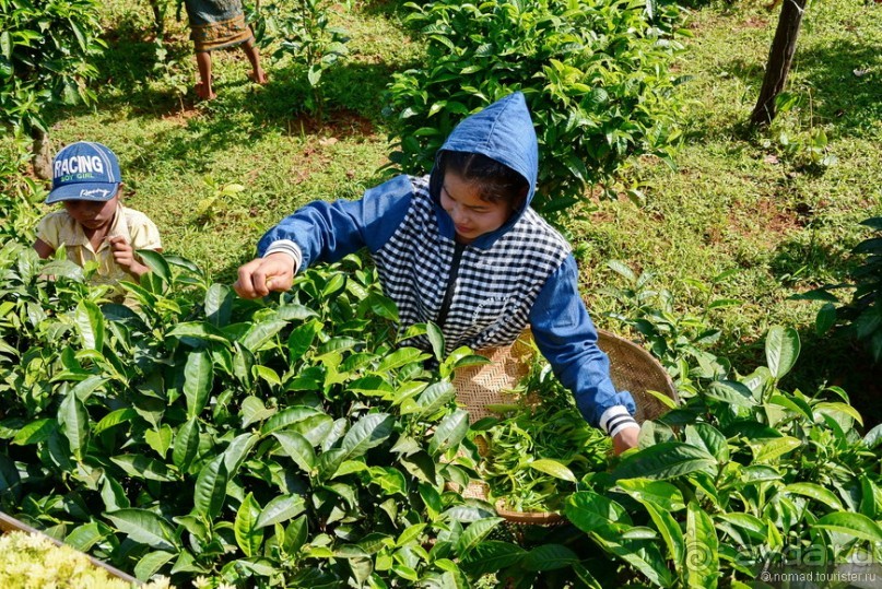Азиатский квест, или поди туда, не знаю куда. Часть 3