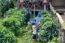 Азиатский квест, или поди туда, не знаю куда. Часть 3