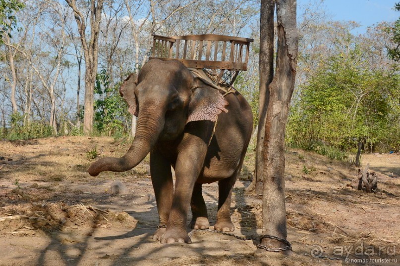 Азиатский квест, или поди туда, не знаю куда. Часть 3
