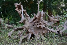 Азиатский квест, или поди туда, не знаю куда. Часть 3