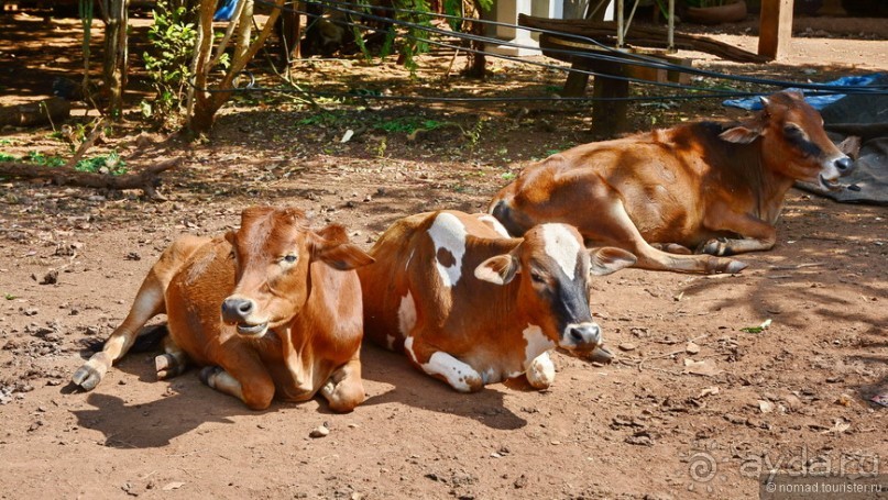 Азиатский квест, или поди туда, не знаю куда. Часть 3