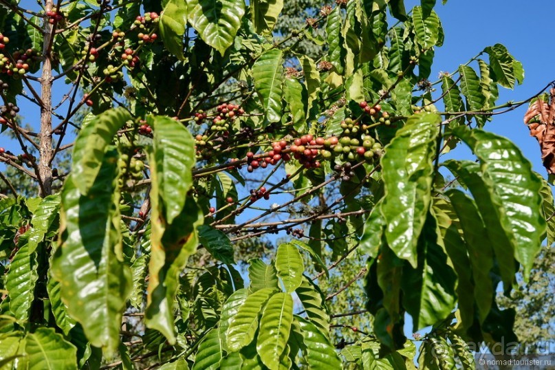 Азиатский квест, или поди туда, не знаю куда. Часть 3