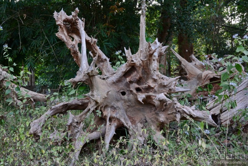 Азиатский квест, или поди туда, не знаю куда. Часть 3