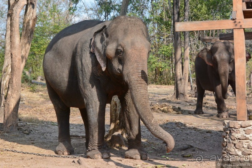 Азиатский квест, или поди туда, не знаю куда. Часть 3